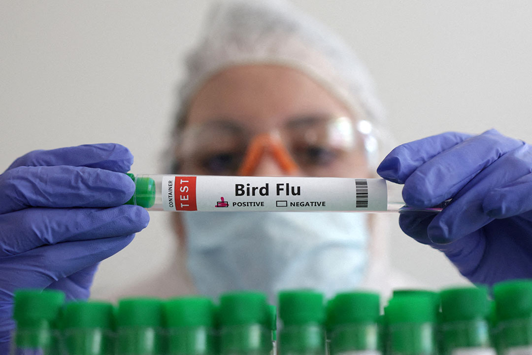 Bird Flu-test tube