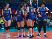 NU routs Enderun in straight sets in Shakey’s Super League opener