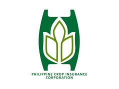 PCIC to seek P7.5-B budget in 2027, extension of charter