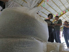P20-per-kilo rice program rolled out to 82nd province