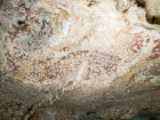 World’s oldest cave painting in Indonesia shows a pig and people