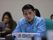 Robin files bill versus dynasties