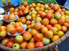 Tomato, onion production rise in Q3