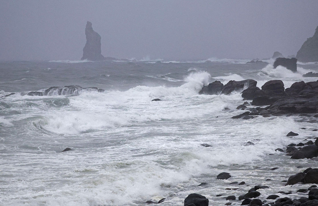 Japan-waves