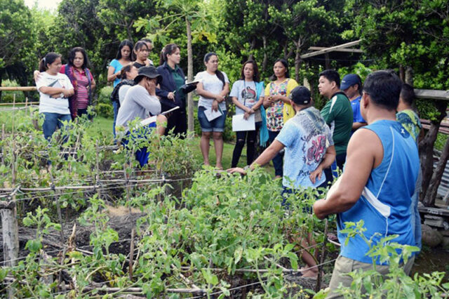 Organic Farm-training