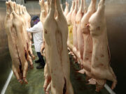 British pork imports seen sustained as PHL continues to deal with ASF