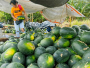 First-quarter GDP growth revised upwards to 5.8%