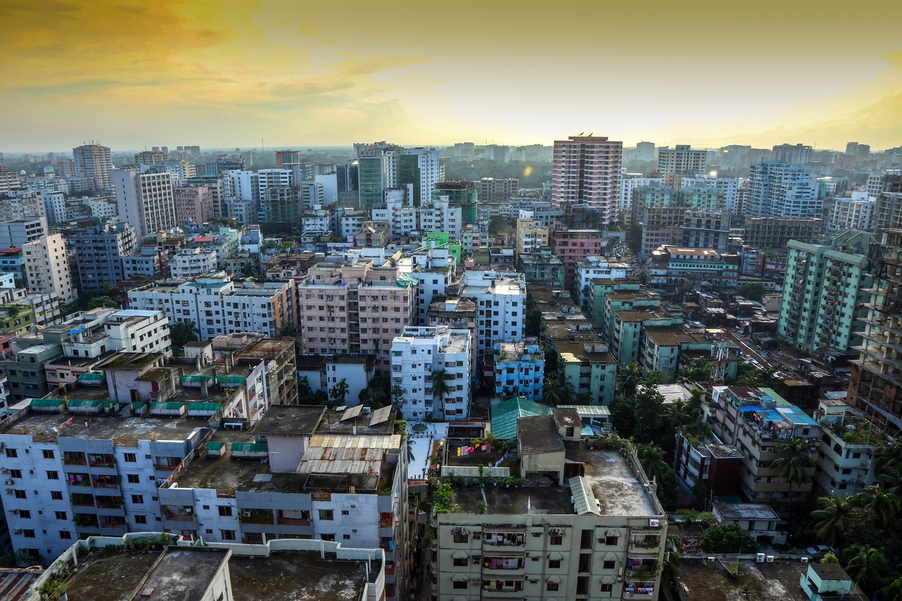 banani-2978376_1280 (2)