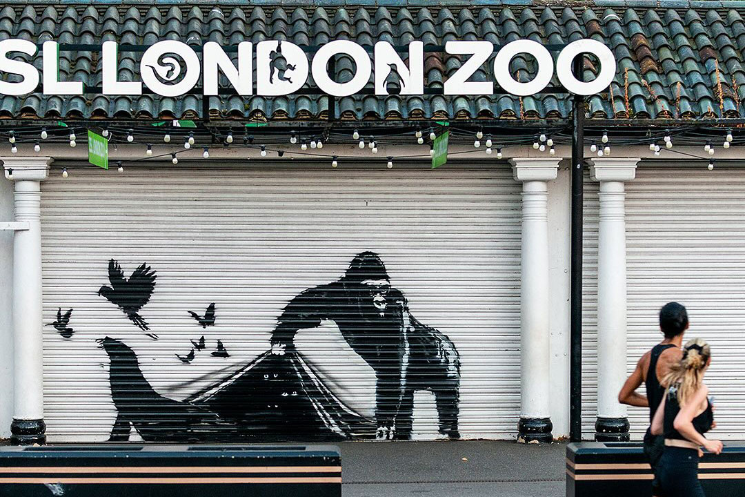 banksy -London-Zoo