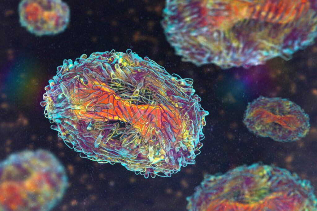 Philippines says two new mpox cases are milder variant - BusinessWorld