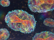 China discovers cluster of new mutated mpox strain