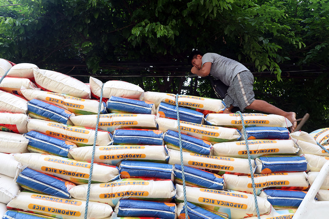 Rice sacks-worker-wc