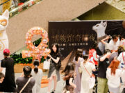 Shanghai Museum welcomes feline visitors to peruse Egyptian cat imagery at ‘Meow Night’