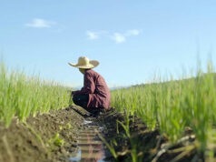 Emergency declaration unlocks P1B in DA contingency funds