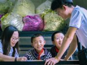 China’s private tutoring firms emerge from the shadows after crackdown