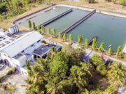 MPIC water unit sets P5-B capex for 2025