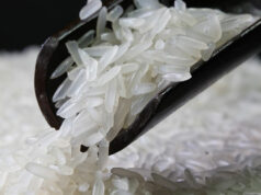 Batanes designated as organic farming province