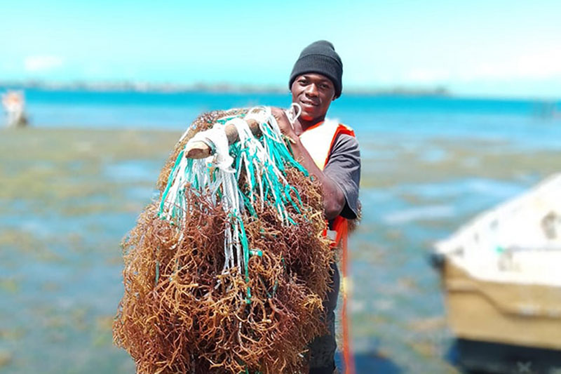 Kenyan-Seaweed-fisherman