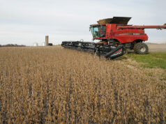 China warns of growing foreign espionage in seed, grain sector