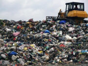 Startups urged to go green to remain competitive