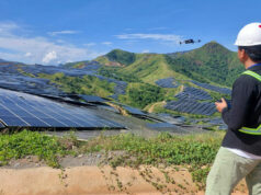 Green lane legislation seen adding momentum to clean-energy transition