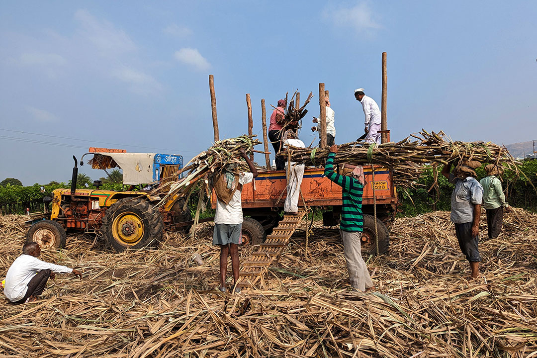 India-Sugar mill workers