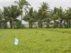 Analysts see long-term gains of Land Use bill despite near-term regulatory risks