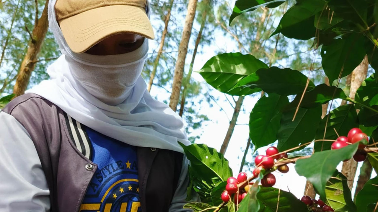 Agnep-coffee-farmer-thumb