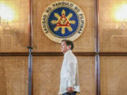 Marcos government told to expand bureaucracy to boost public services