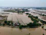 Agricultural output may have contracted in 2024