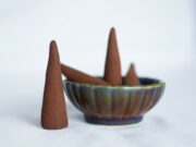 DOST eyes potential use of cinnamon, pili-based mosquito repellent