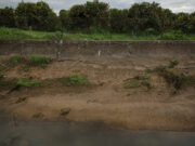 Parched southern Greece highlights EU water conservation challenges