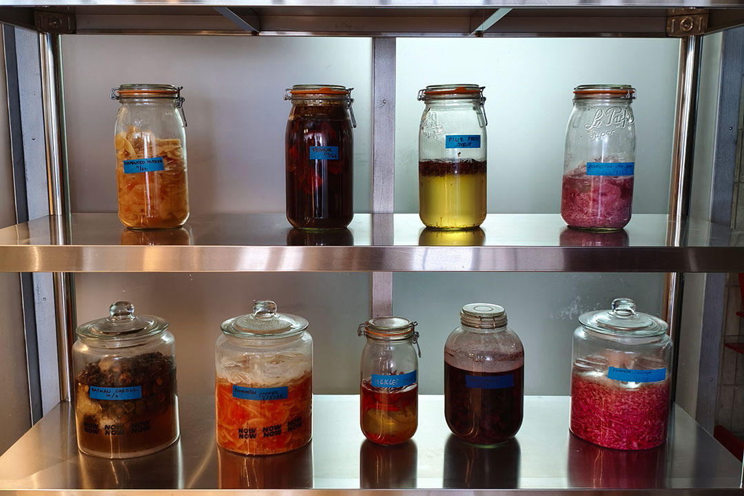 Now-Now_Fermentation-Shelf