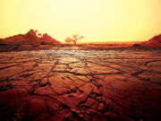 2025 was the world’s third-warmest year on record, EU scientists say