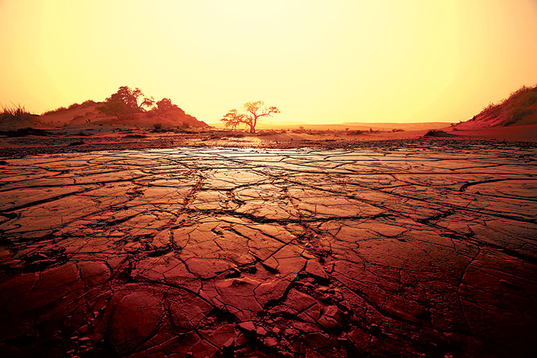 SF_drought-land-OL