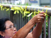 Remembering the 1986 People Power Revolution