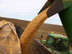 Argentine labor reform protests stall grain shipments