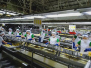 Del Monte Pacific profit soars on strong sales in PHL, int’l markets