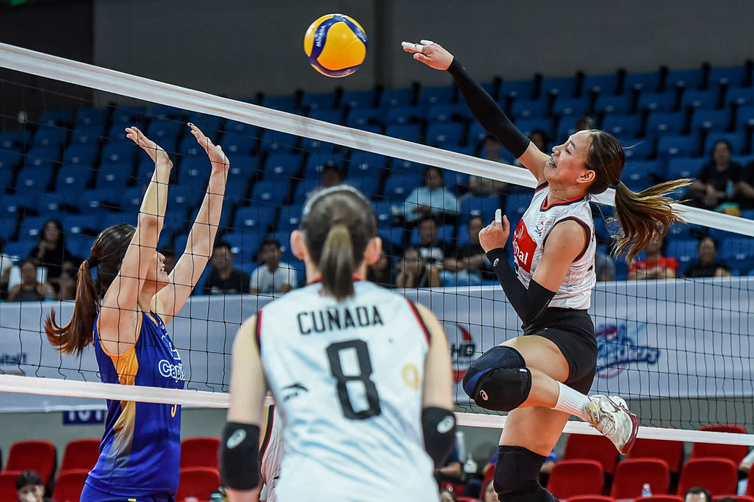 CIGNAL HD SPIKERS