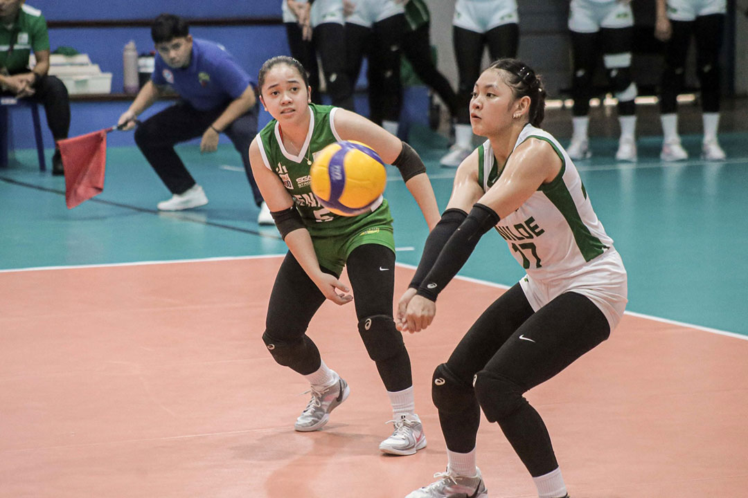 COLLEGE OF ST. BENILDE LADY BLAZERS