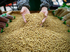 Soybean meal imports expected to rise due to higher demand for feed