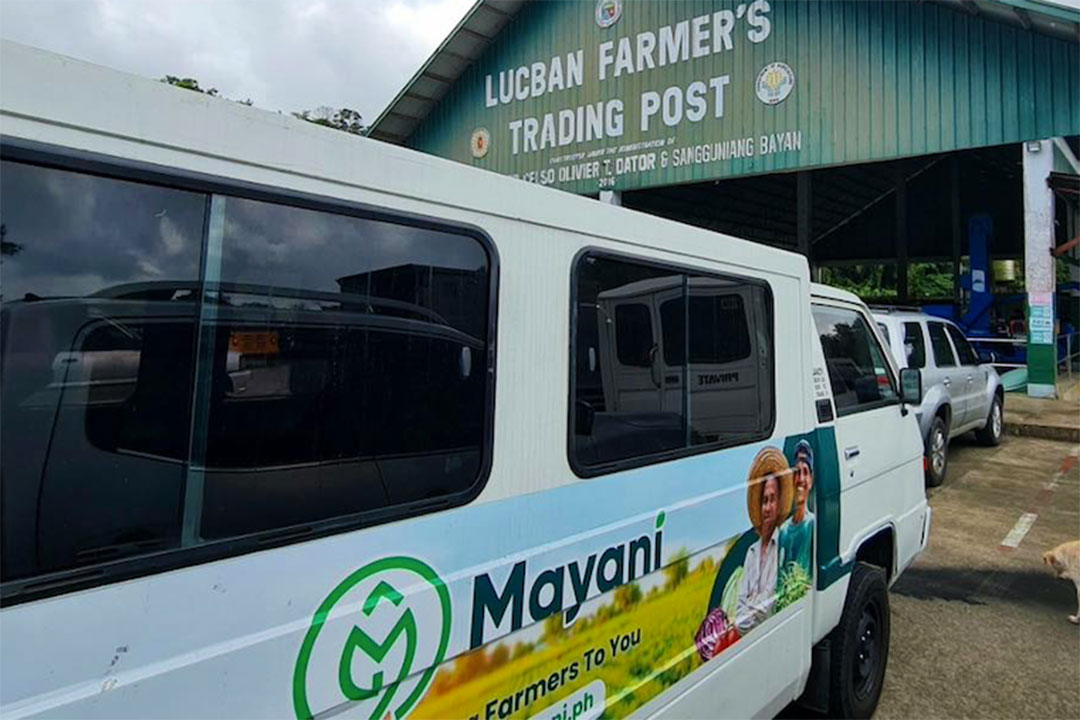 Mayani