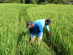 Farm job volatility seen as structural, not just result of seasonality