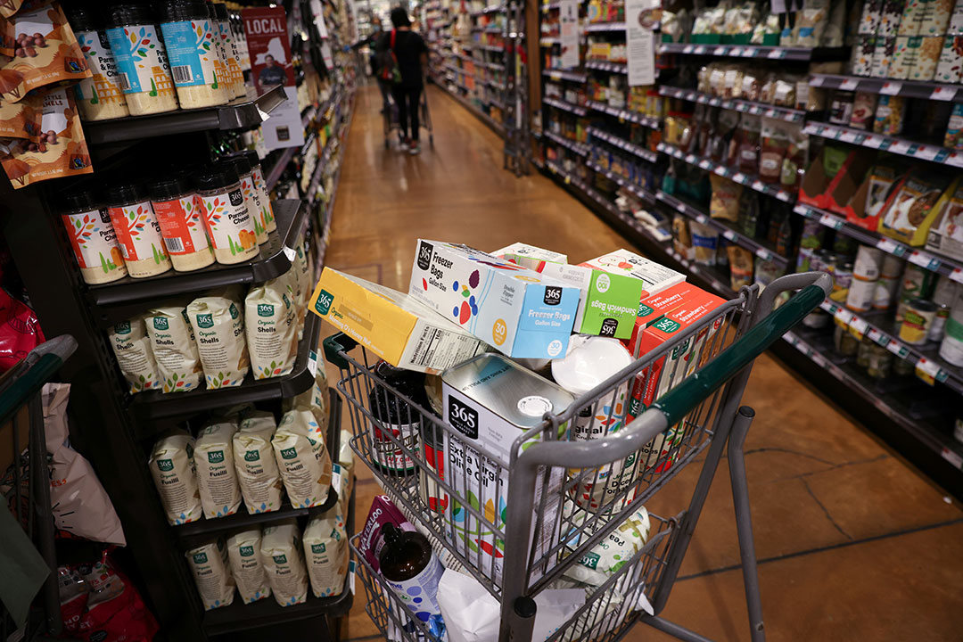 Supermarket-shopping cart