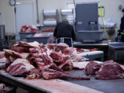 Russia gains access to Philippine beef market