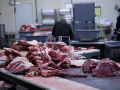 Canadian beef exports to China will resume following Carney’s visit