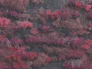 Entertainment News (05/13/25)