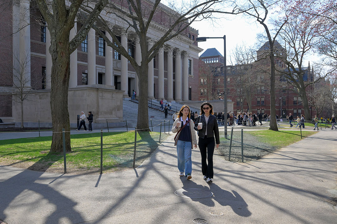 Harvard University