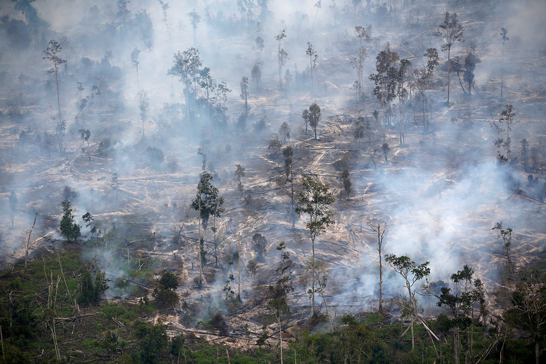 Indonesia-forest-fire