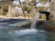 EU plans new subsidies for farmers to save water